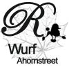 R-Wurf vom 11.04.2006
